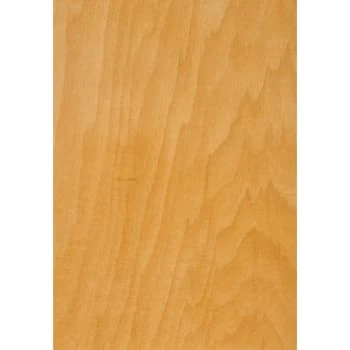 Kfi G6 Project Only - Cafe Chair, Natural Wood Stain Back (4-Pack) 7 Kfi G6 Project Only - Cafe Chair, Natural Wood Stain Back (4-Pack) - Image 5