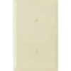 Titan3 1-Gang Jumbo Smooth Blank Wall Plate (Ivory) -Household Supplies Store 131251 v MainProductImage BUS Lg