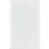 Titan3 1-Gang Jumbo Smooth Blank Wall Plate (White)