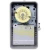 Intermatic T100 24-Hour Indoor/outdoor Mechanical Timer Switch Dpst, Gray/metal -Household Supplies Store 263613 MainProductImage Lg