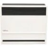 Williams 0000 Btuh 66% Afue Direct-Vent Propane Gas Gravity Wall Heater