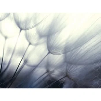 Red Roof Inn® Dandelion Flower 36wx24h Canvas Print W/espresso Frame 3 Red Roof Inn® Dandelion Flower 36wx24h Canvas Print W/espresso Frame