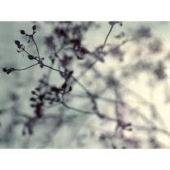 Red Roof Inn® Branches & Berries 36Wx24H Espresso Framed Artwork