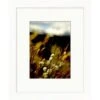 Clearwater Art Collection Spring Flowers, Warm Scheme, White Frame -Household Supplies Store 332663 w MainProductImage BUS Lg