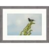 Clearwater Art Collection Spring Bird, Cool Scheme, Silver Frame -Household Supplies Store 332674 w MainProductImage BUS Lg