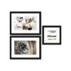 Clearwater Art Collection In A Box, King Sofa,warm,black Frame,pack Of 3 -Household Supplies Store 332710 w MainProductImage BUS Lg