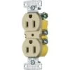 Hubbell® 15 Amp 125 Volt Self-Grounding Residential Straight Blade Duplex Standard Outlet (10-Pack) (Ivory) 1 Hubbell® 15 Amp 125 Volt Self-Grounding Residential Straight Blade Duplex Standard Outlet (10-Pack) (Ivory) -Household Supplies Store 337525 v MainProductImage Lg