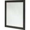 Renin 30 X 36" Black Framed Mirror -Household Supplies Store 492934 K Lg