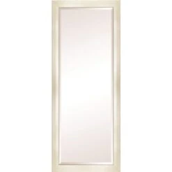 Startex Industries Fornari Champagne Fulllength Glass Mirror 24 X 60, Package Of 4